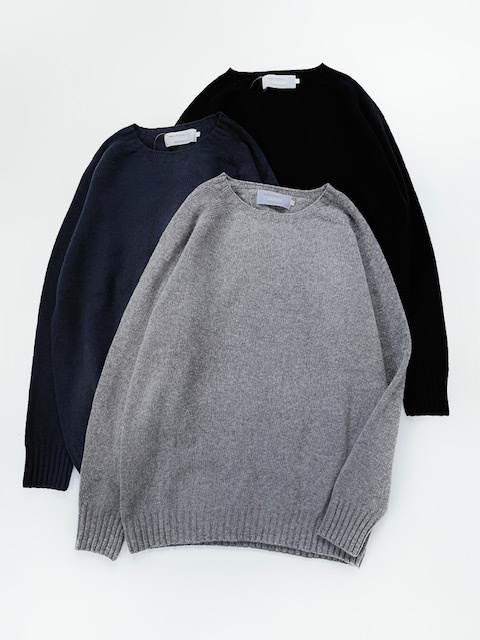 Modele Paticuliar ARMEN